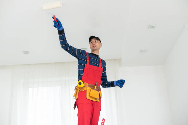 Best Mold Removal for HVAC Installations  in New Johnsonville, TN